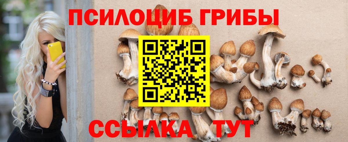 Псилоцибиновые грибы MAGIC MUSHROOMS  Вход с VPN  Югорск 